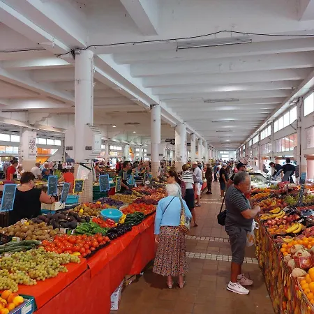 Place Du Suquet - In The Hart Of Old - 2 Min Walking Distance From Palais De Festivals And Beaches Канны